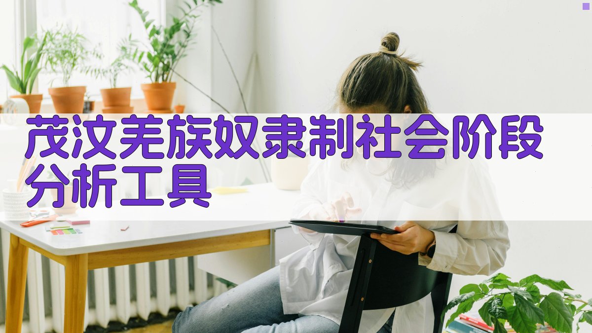 茂汶羌族奴隶制社会阶段分析工具