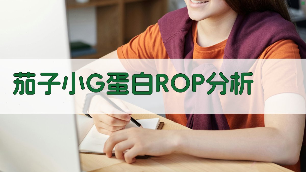 茄子小G蛋白ROP分析