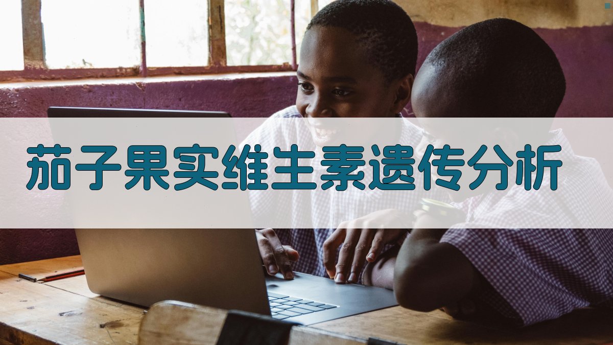 茄子果实维生素遗传分析