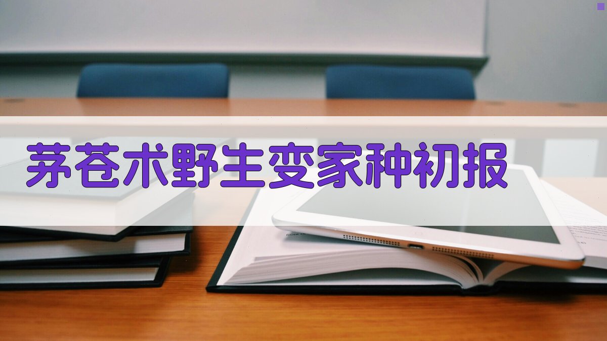 AI一键生成茅苍术野生变家种初报