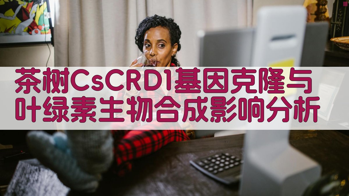 茶树CsCRD1基因克隆与叶绿素生物合成影响分析