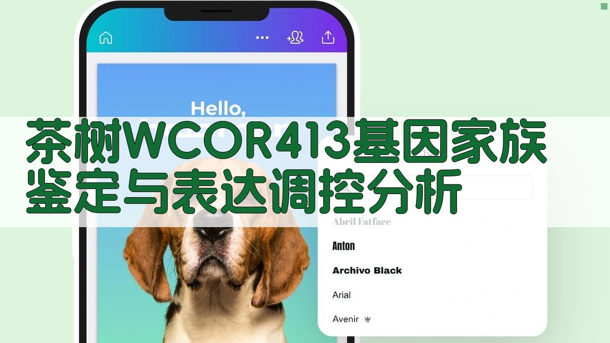 茶树WCOR413基因家族鉴定与表达调控分析
