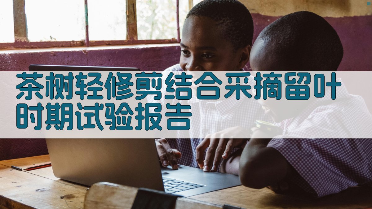 茶树轻修剪结合采摘留叶时期试验报告