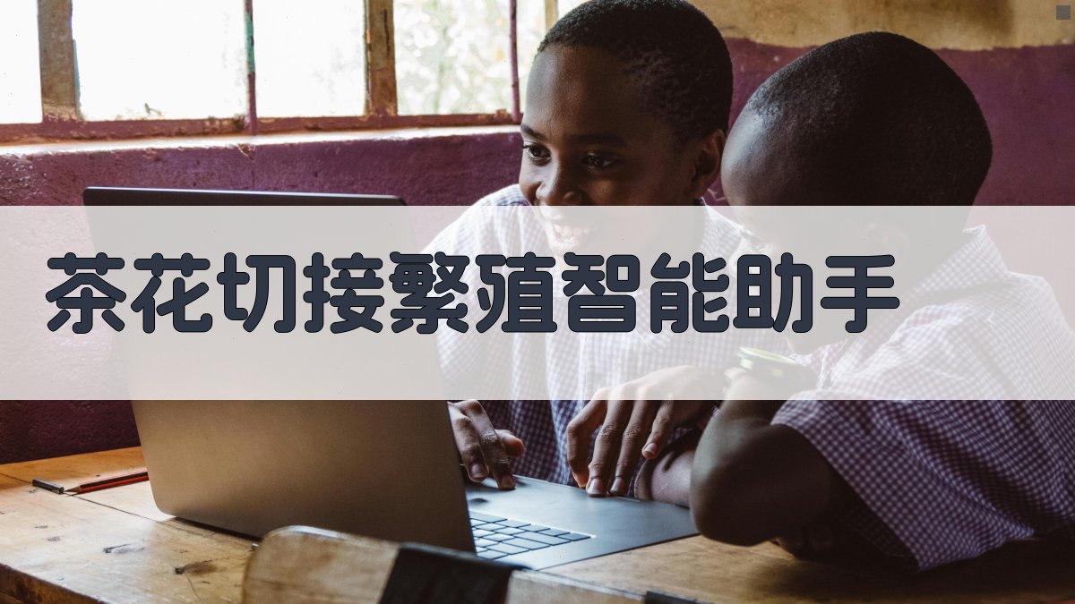 茶花切接繁殖智能助手