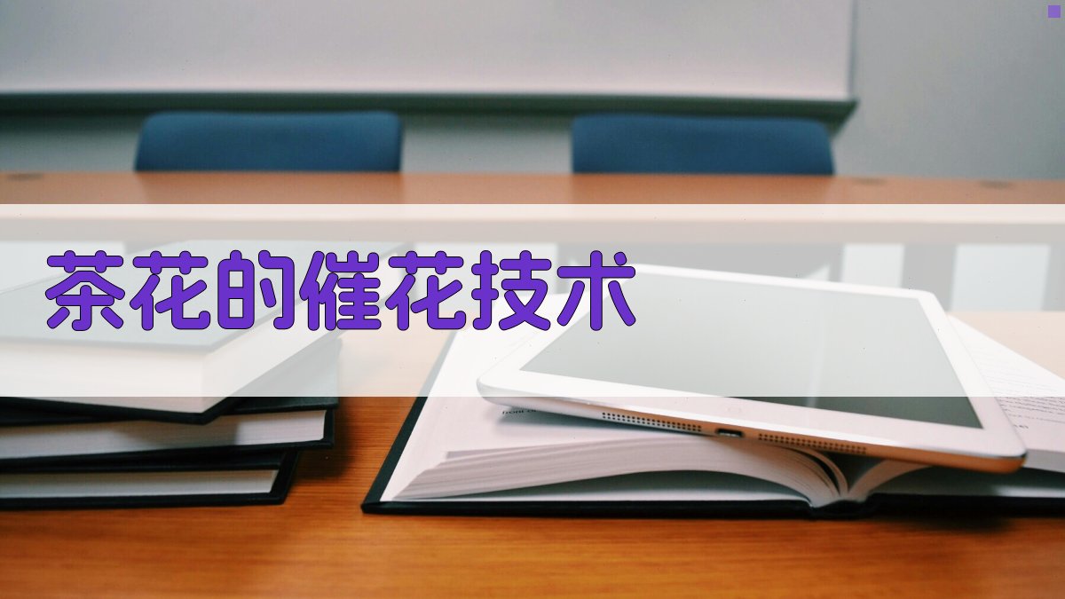 AI智能茶花催花技术指南生成器