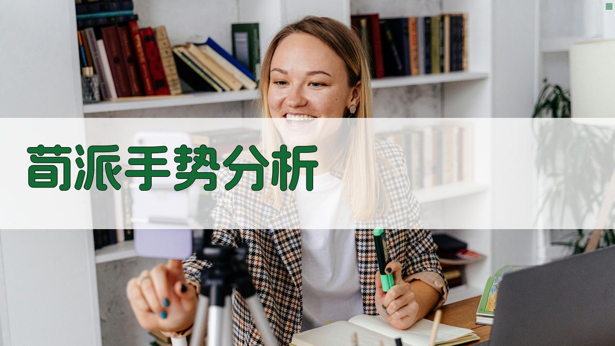 AI荀派手势分析