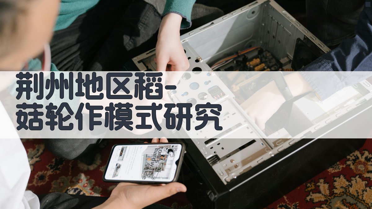 AI一键生成稻-菇轮作研究论文目录