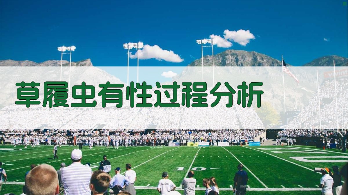 AI草履虫有性过程分析工具