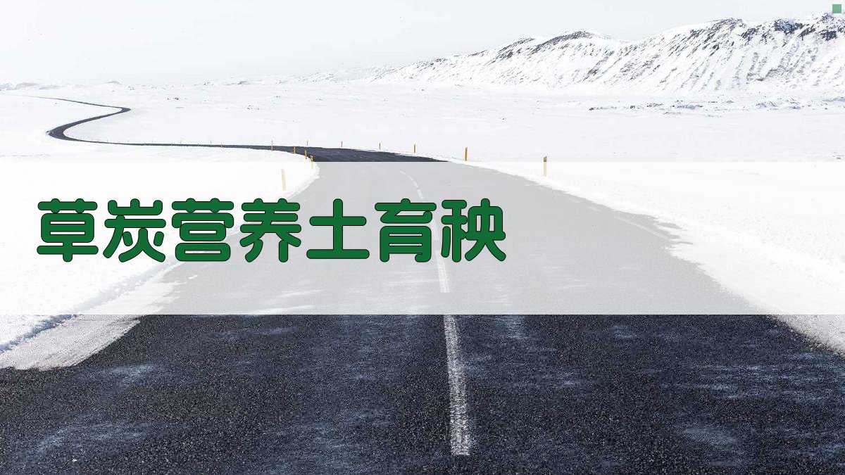 AI草炭营养土育秧