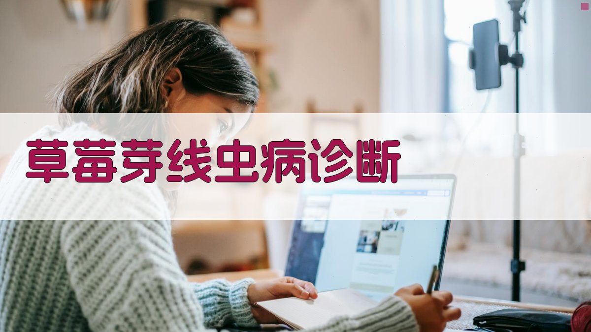 草莓芽线虫病智能诊断