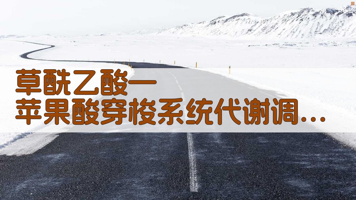 草酰乙酸—苹果酸穿梭系统代谢调节分析