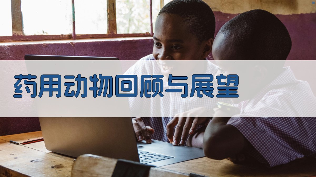 AI药用动物回顾与展望生成器