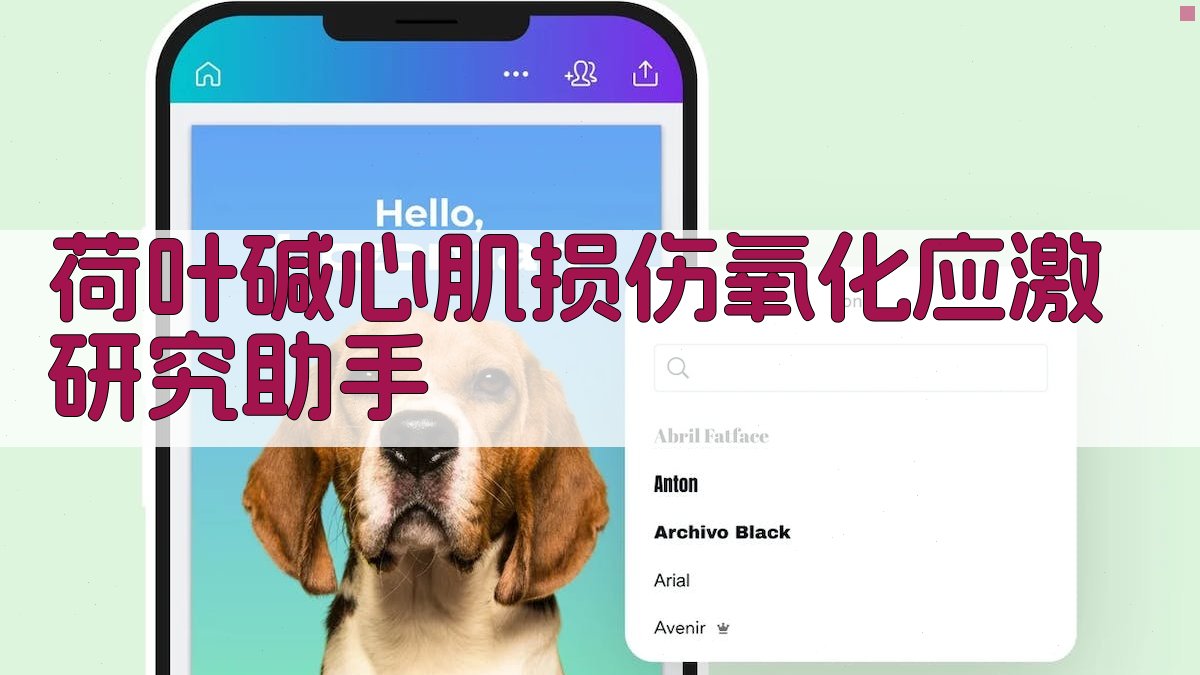 荷叶碱心肌损伤氧化应激研究助手