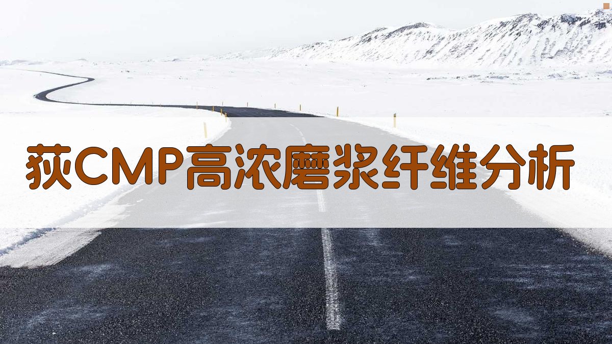 荻CMP高浓磨浆纤维分析