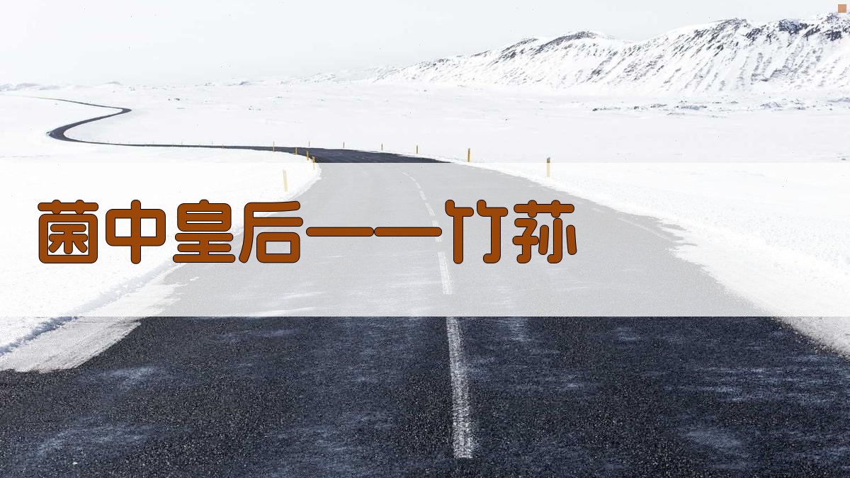 菌中皇后——竹荪