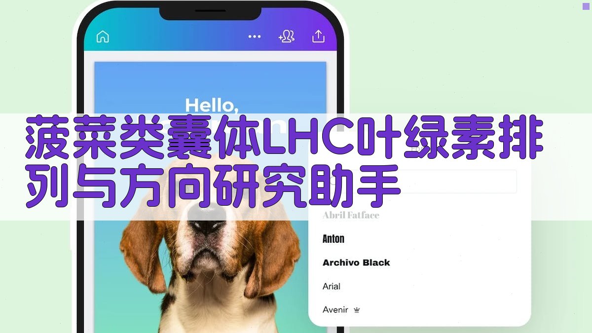 菠菜类囊体LHC叶绿素排列与方向研究助手