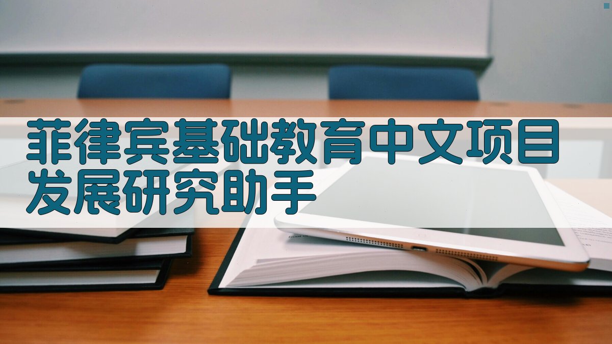 菲律宾基础教育中文项目发展研究助手