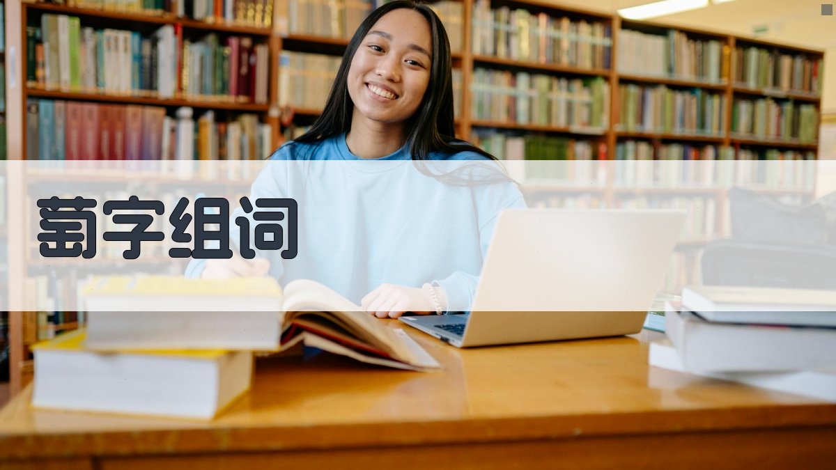 萄字组词生成器