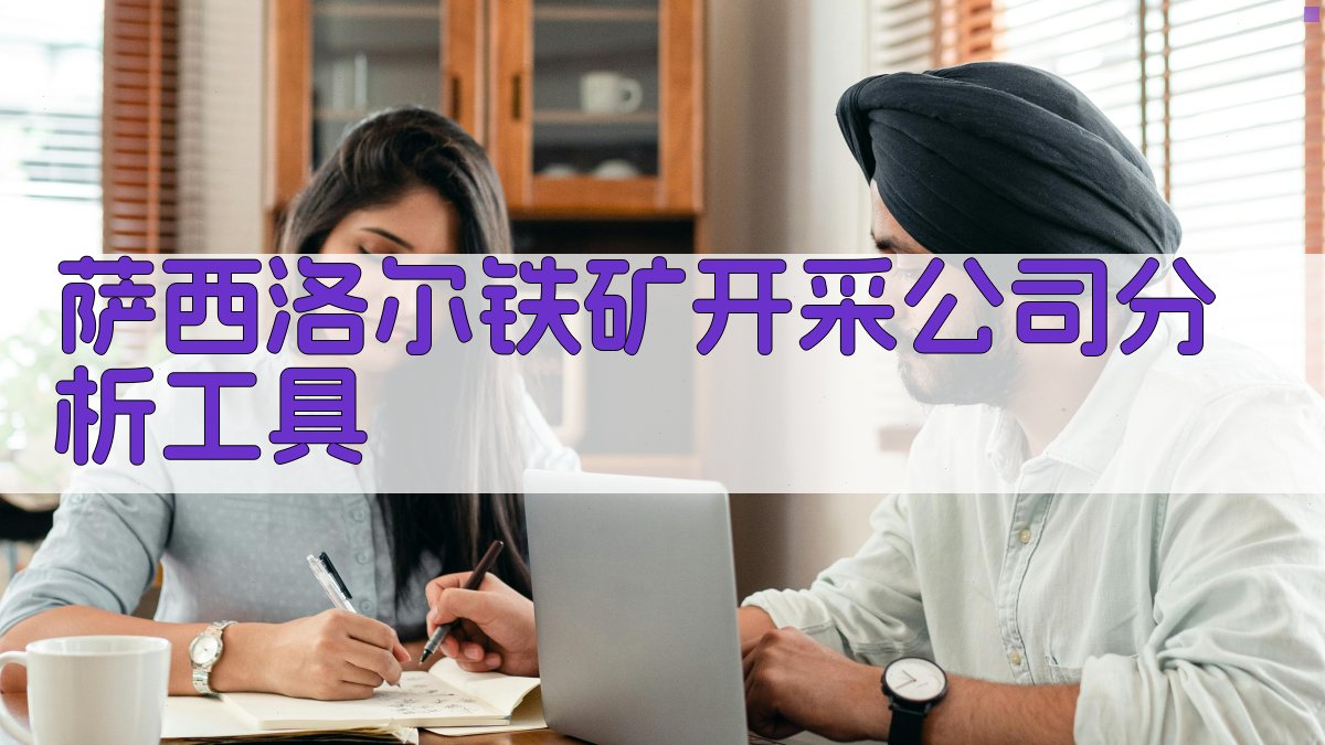 AI萨西洛尔铁矿开采公司分析工具