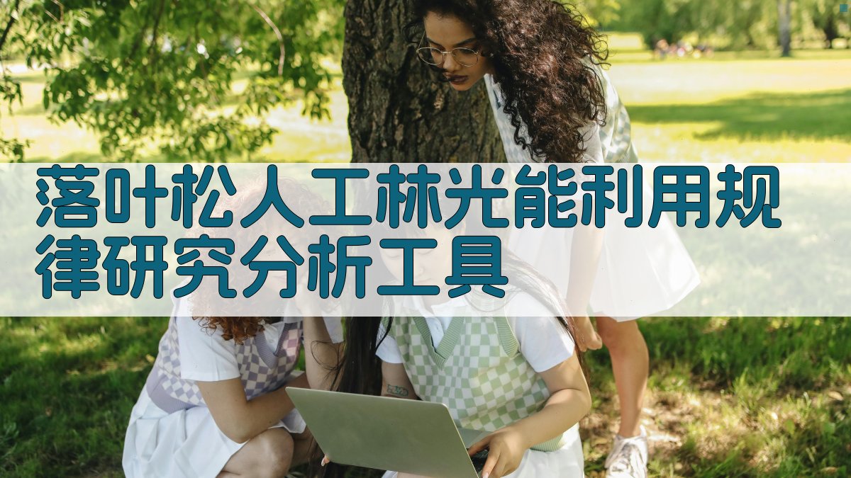 落叶松人工林光能利用规律研究分析工具