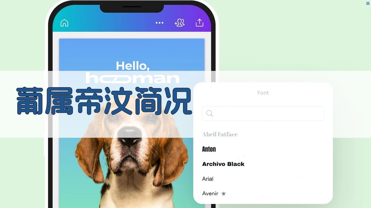 葡属帝汶简况生成器