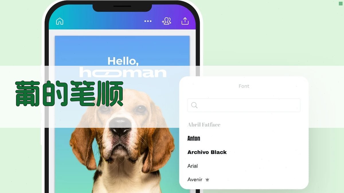 葡的笔顺教学