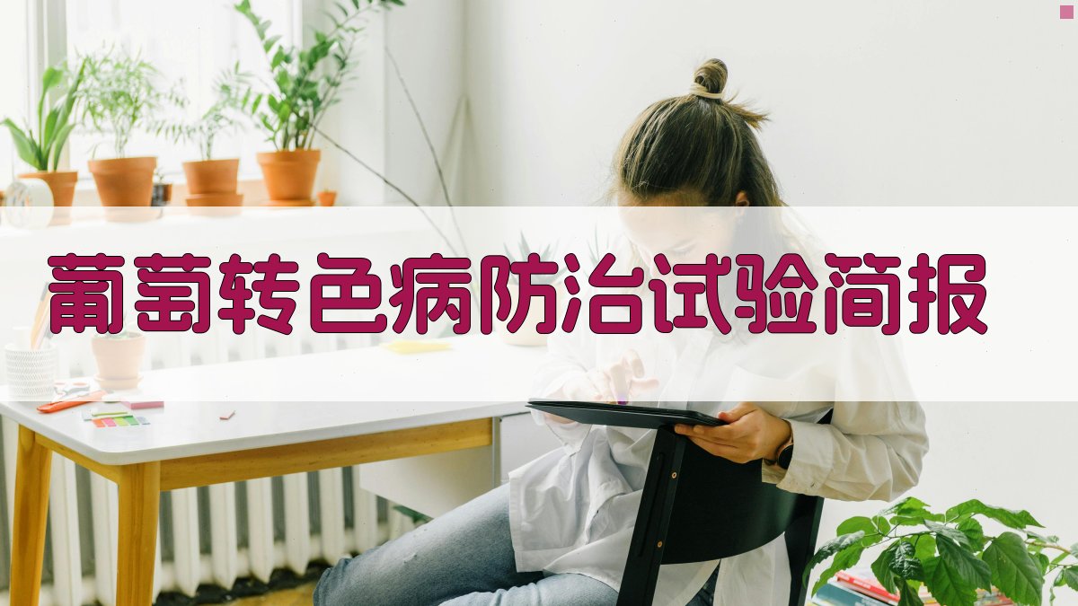 AI葡萄转色病防治试验简报