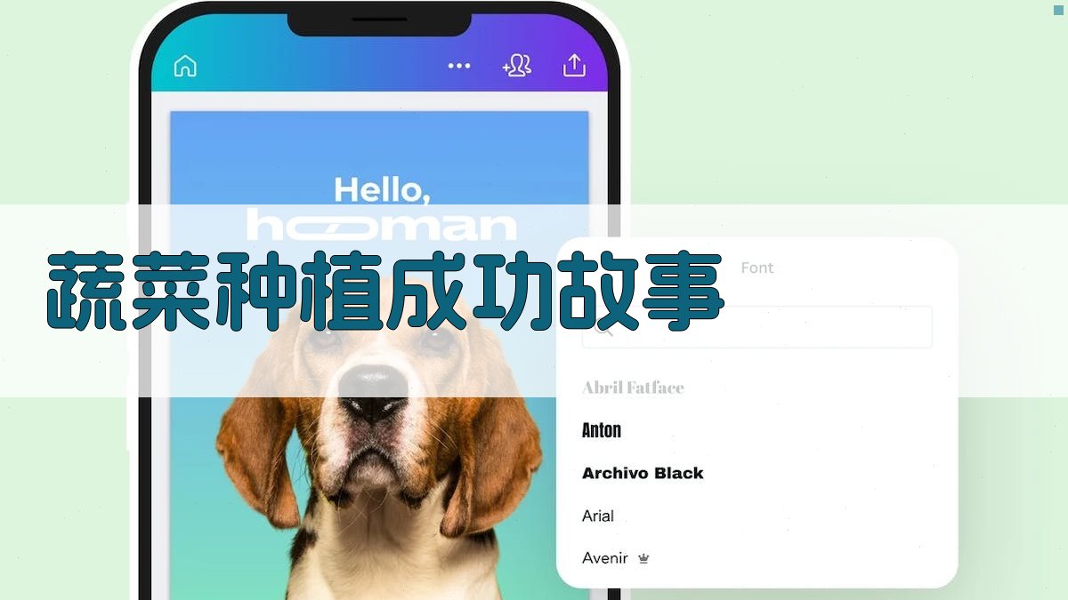 AI蔬菜种植成功故事生成器