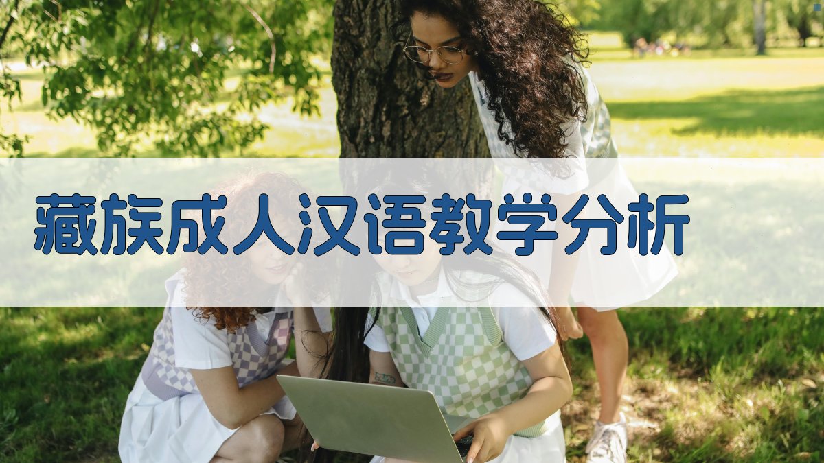 AI藏族成人汉语教学分析工具