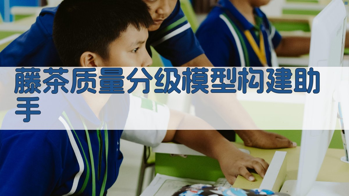 藤茶质量分级模型构建助手