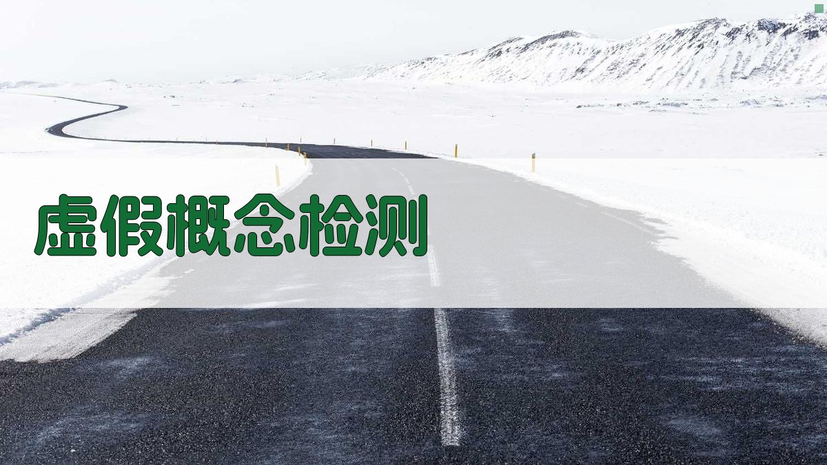 AI虚假概念检测分析