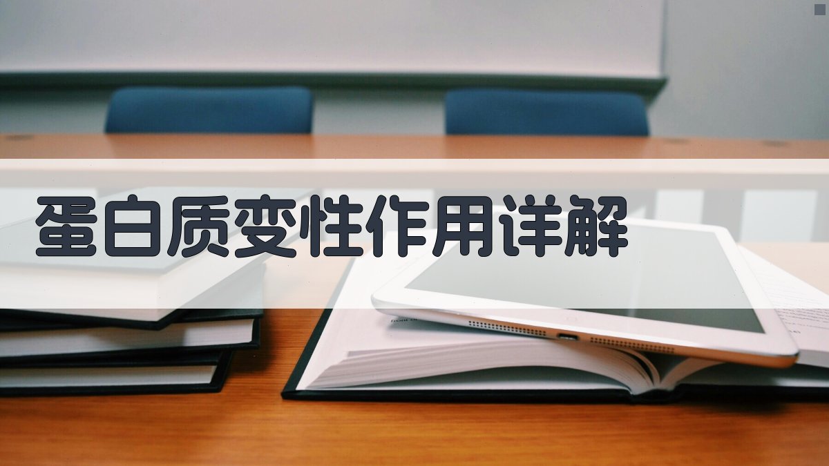 蛋白质变性作用详解