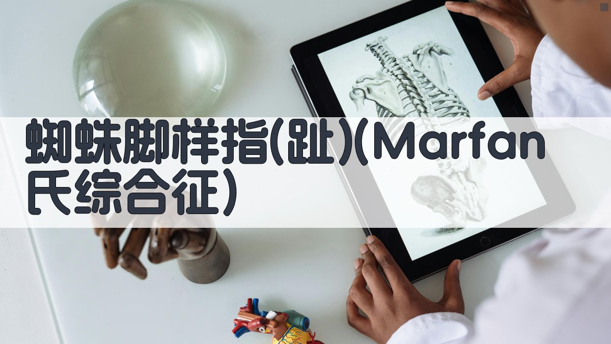 AI蜘蛛脚样指(趾)研究助手