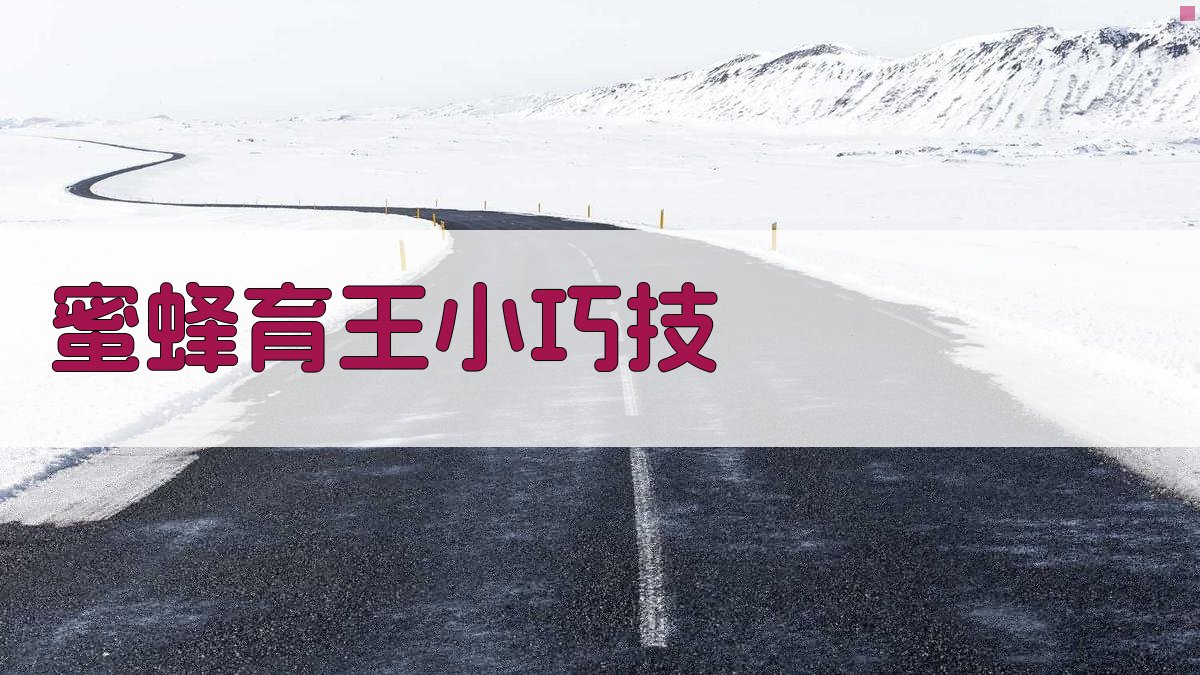 AI蜜蜂育王小巧技