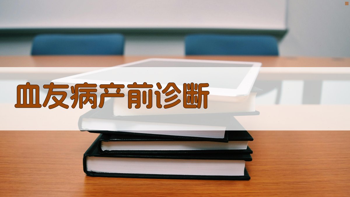 血友病产前诊断分析工具