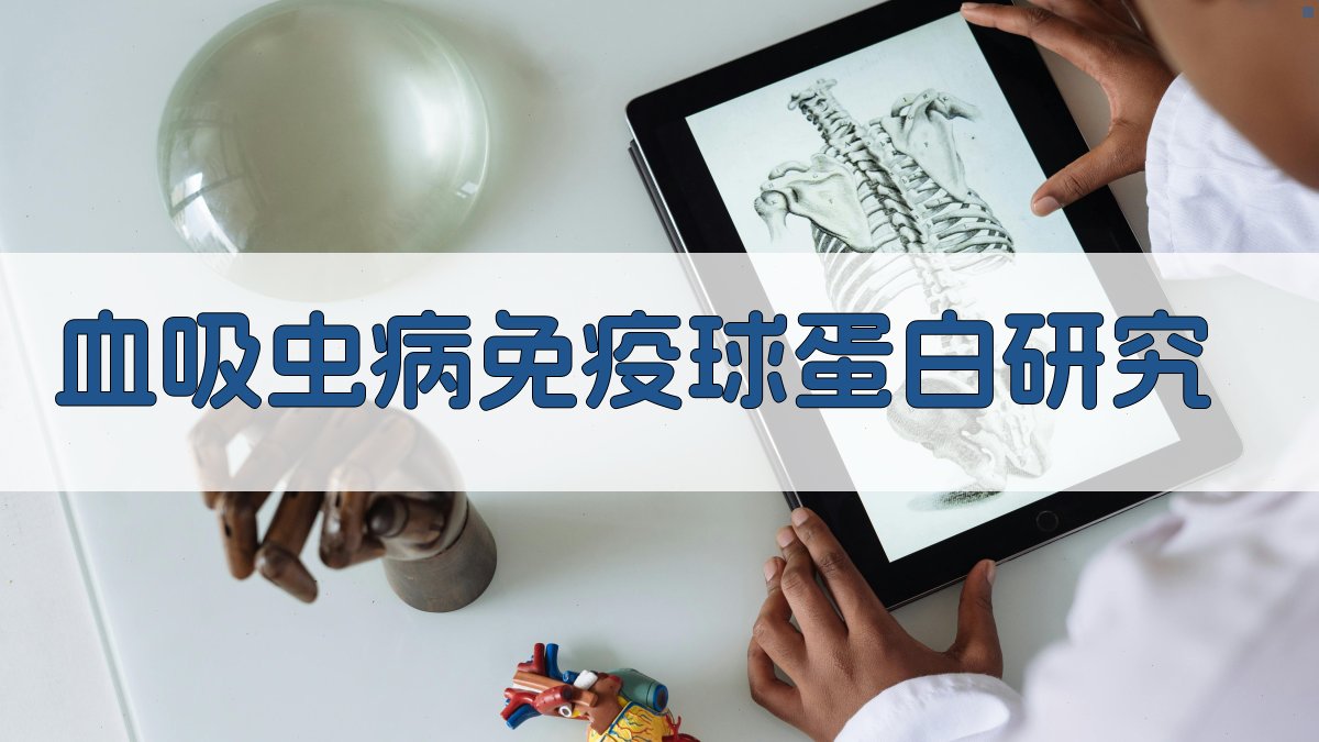 血吸虫病免疫球蛋白研究