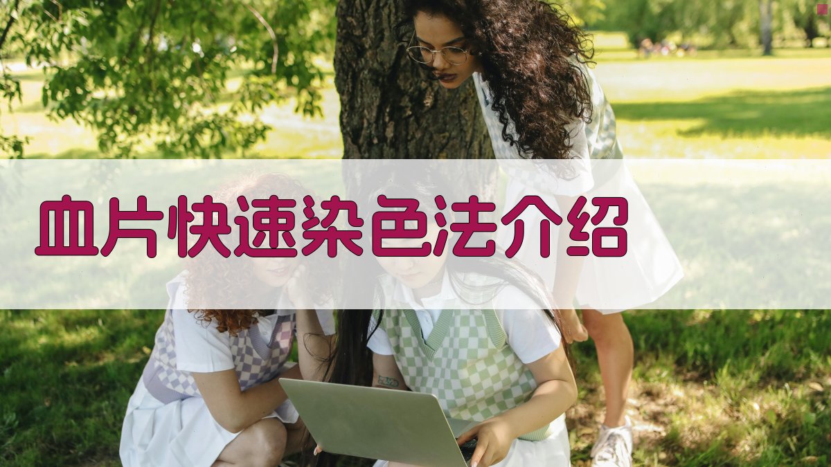 AI血片快速染色法介绍工具