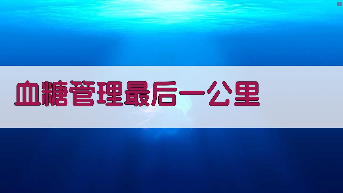 AI智能血糖管理最后一公里解决方案