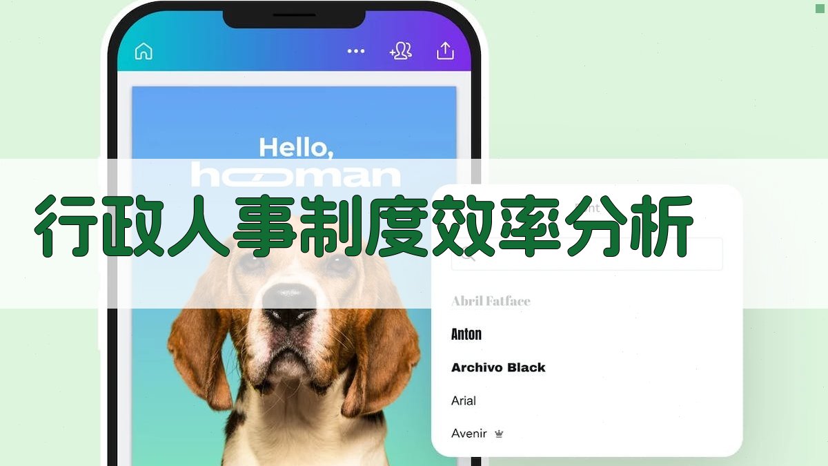 行政人事制度效率分析