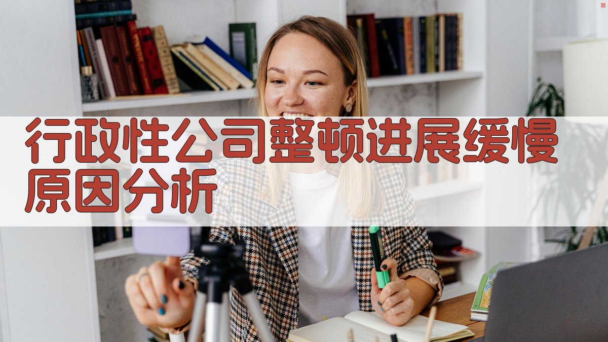 行政性公司整顿进展缓慢原因分析