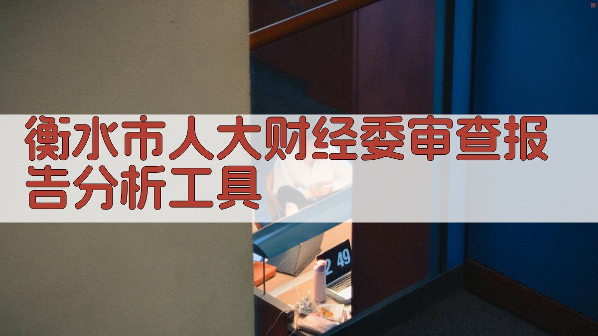 衡水市人大财经委审查报告分析工具