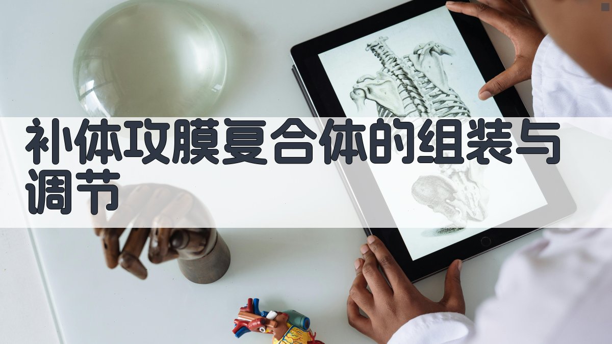 补体攻膜复合体的组装与调节分析工具