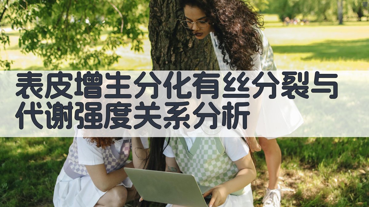 表皮增生分化有丝分裂与代谢强度关系分析