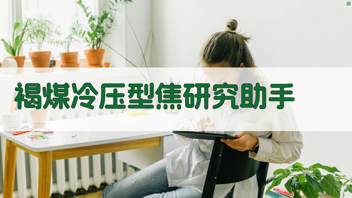 褐煤冷压型焦研究助手