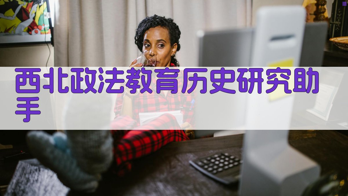 西北政法教育历史研究助手