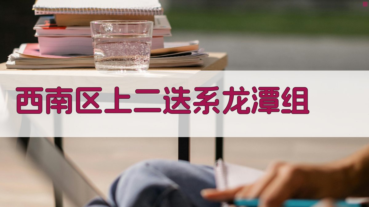 西南区上二迭系龙潭组地质研究