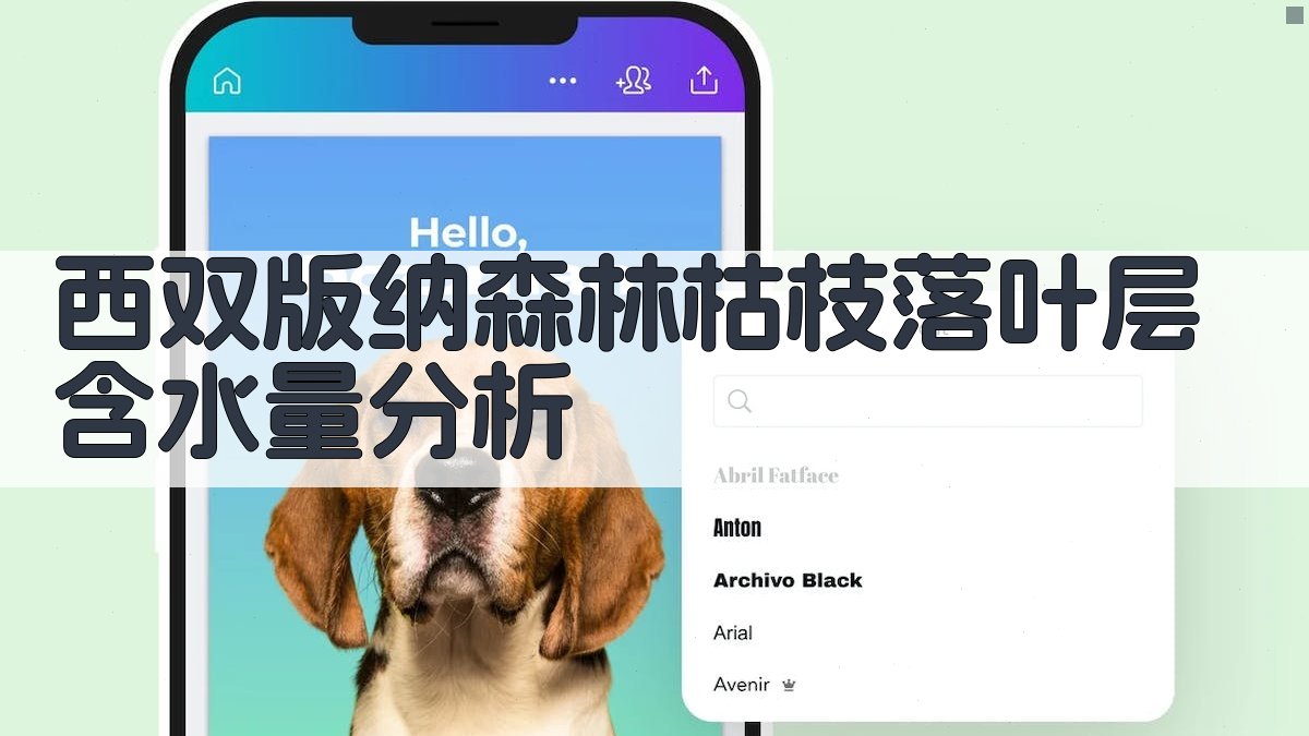 西双版纳森林枯枝落叶层含水量分析