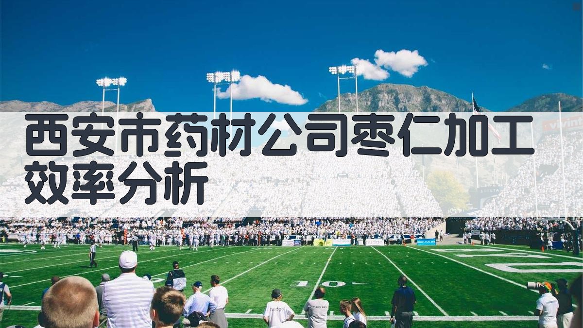 西安市药材公司枣仁加工效率分析