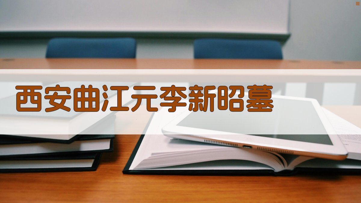 西安曲江元李新昭墓考古研究