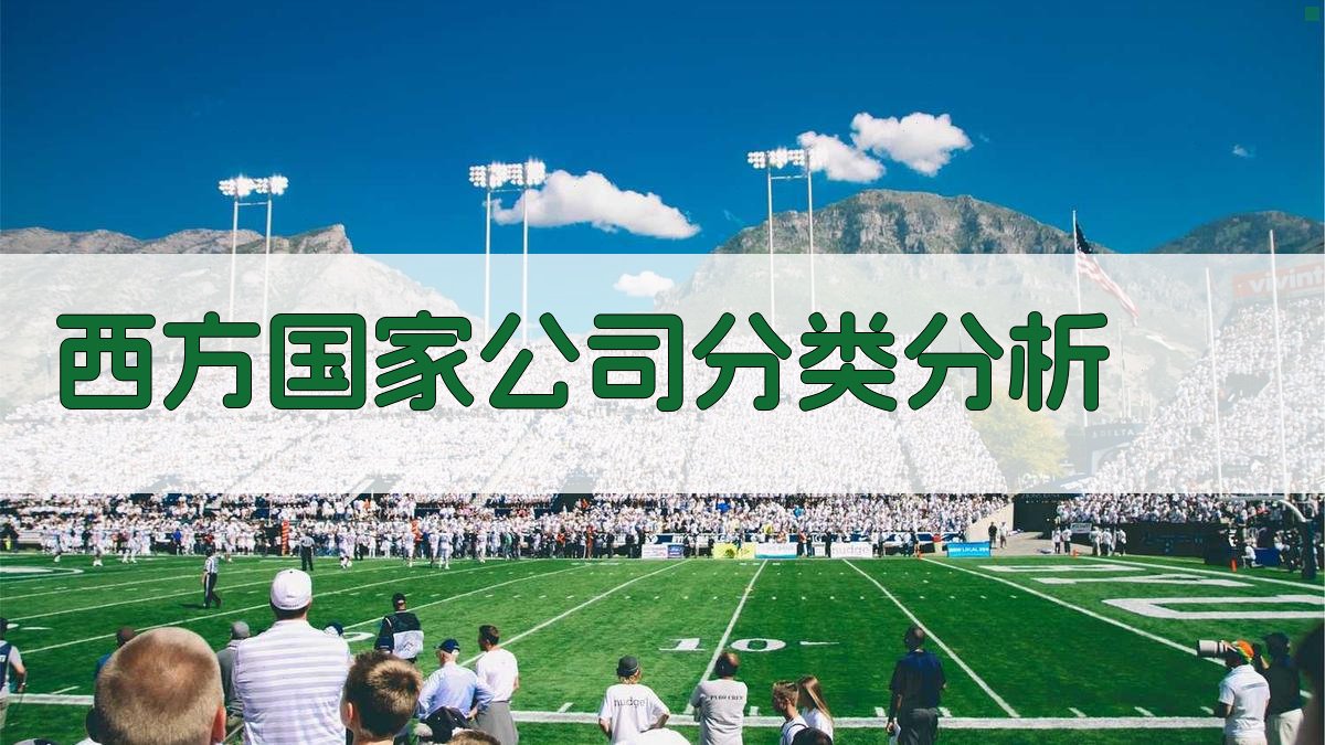 西方国家公司分类分析